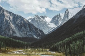 蘑菇视频下载背后还有一层没被说开的东西，看完才知道大家在意的根本不是同一件事