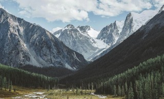 评论区直接炸开，原来大家说的就是每日大赛在线观看