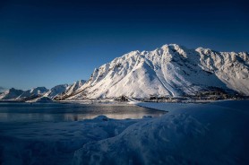 突然有人聊起每日大赛官网，评论区开始疯狂追问